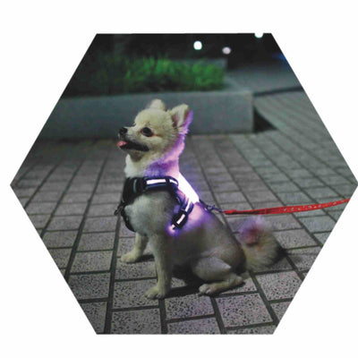 LED luminous  dog harness