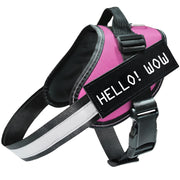 Reflective dog harness