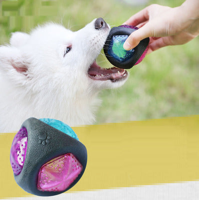 Dog toy ball