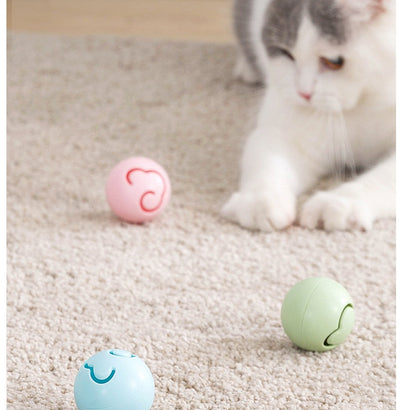 Ball cat toy