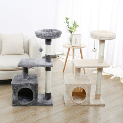 Cat climbing tower