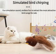 Interactive chirping bird