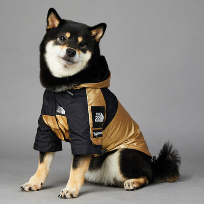 Dog jacket